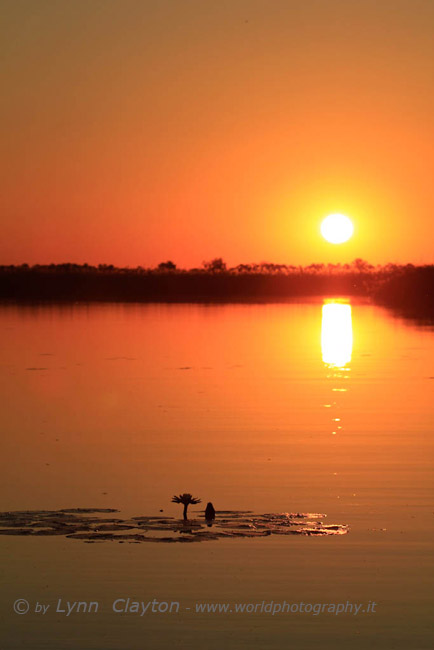 Okavango Delta Sunset